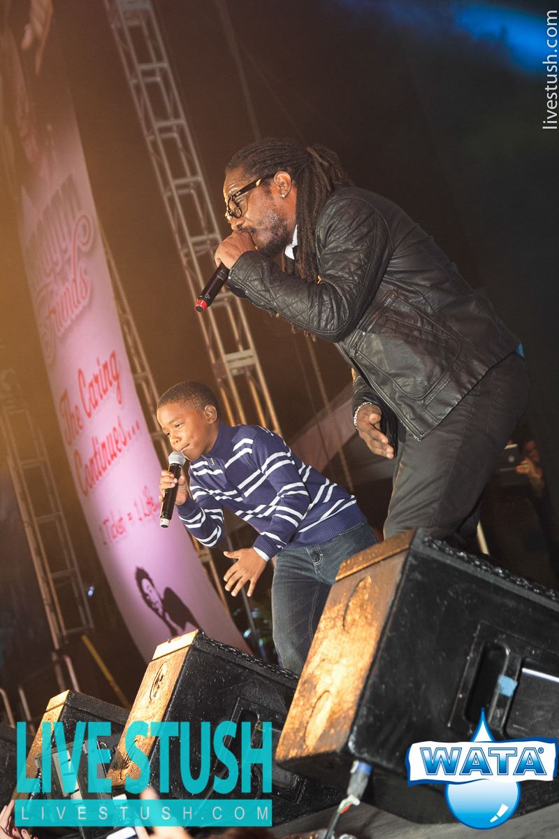 Wayne Marshall and his son performing on stage