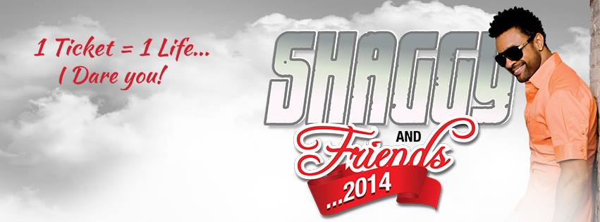 Shaggy & Friends 2014 : A Party for a Worthy Cause.