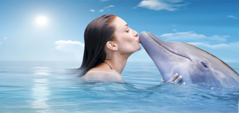 dolphin_kiss