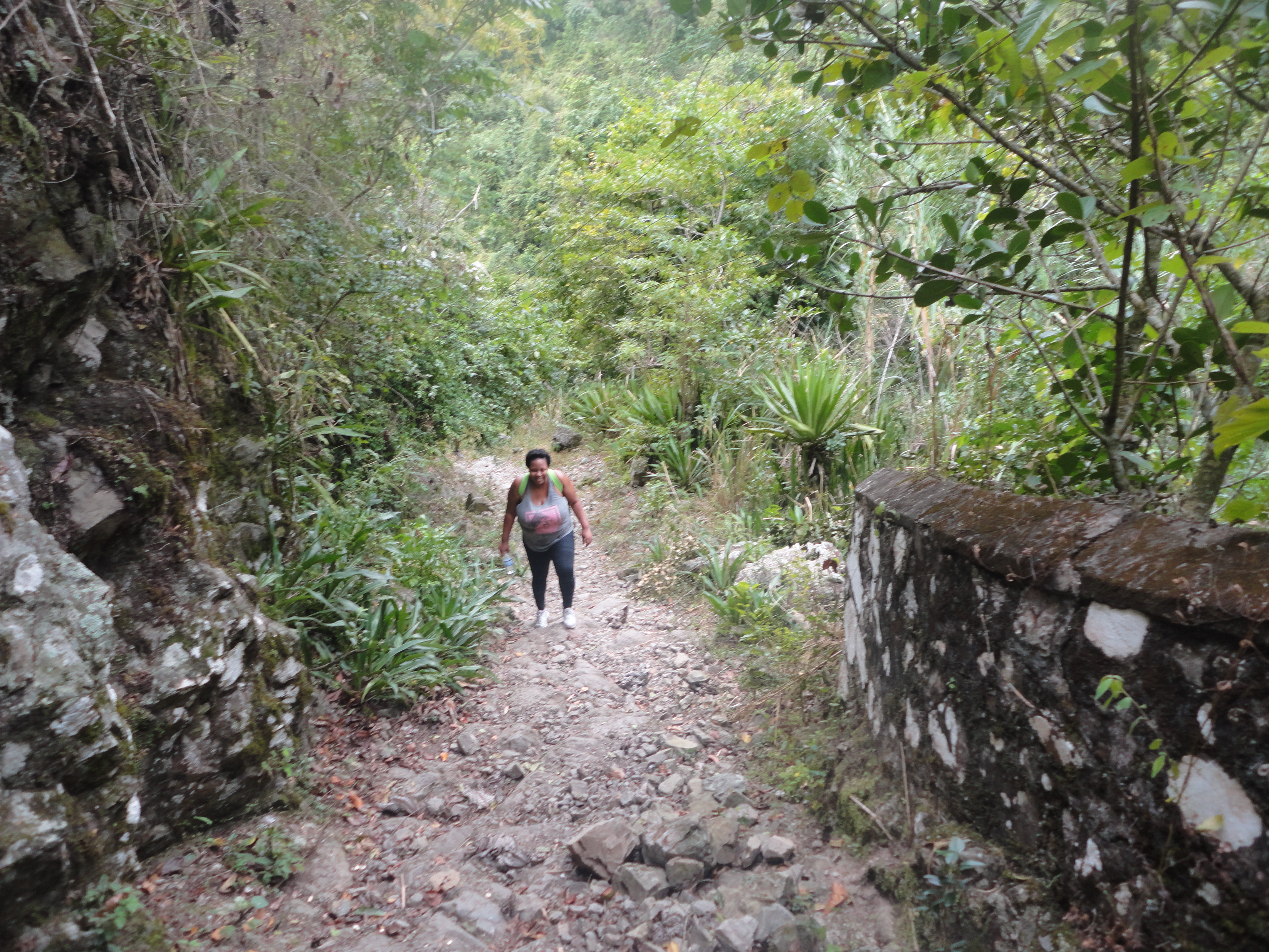 The Dryland Tourist- Hiking in Jamaica